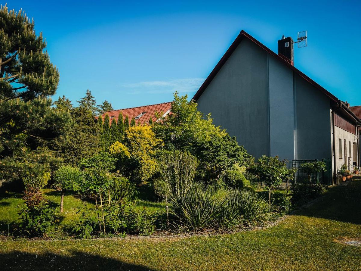 Pokoje Na Orzeszkowej Kamien Pomorski Bagian luar foto